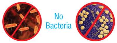 No bacteria Image